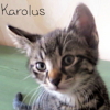 Carolus