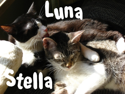 Luna und Stella hp01