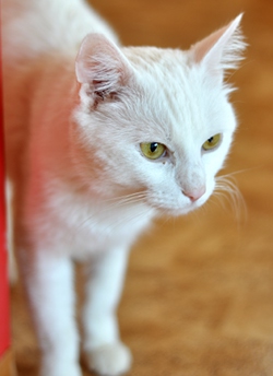 sunny03